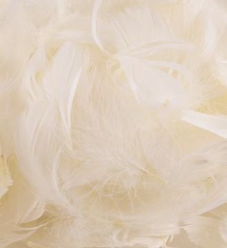 Eleganza Feathers Mixed sizes 3inch-5inch 50g bag Ivory No.61 - Accessories